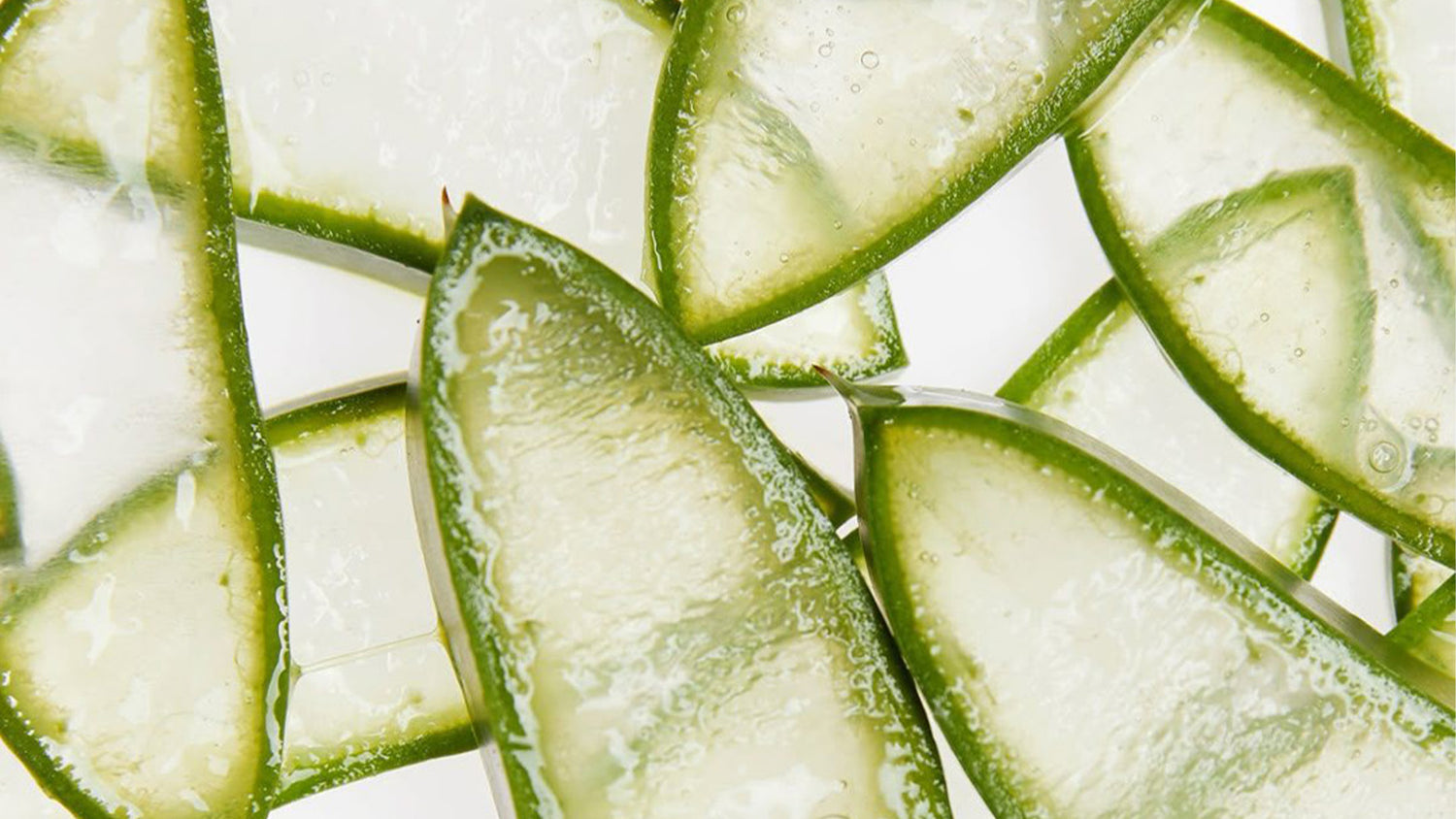 Vegetalement Provence