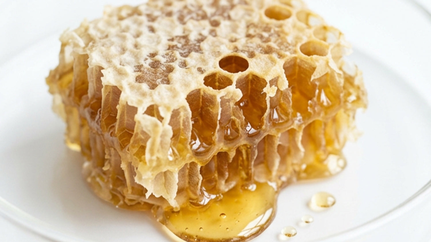 Vegetalement Provence