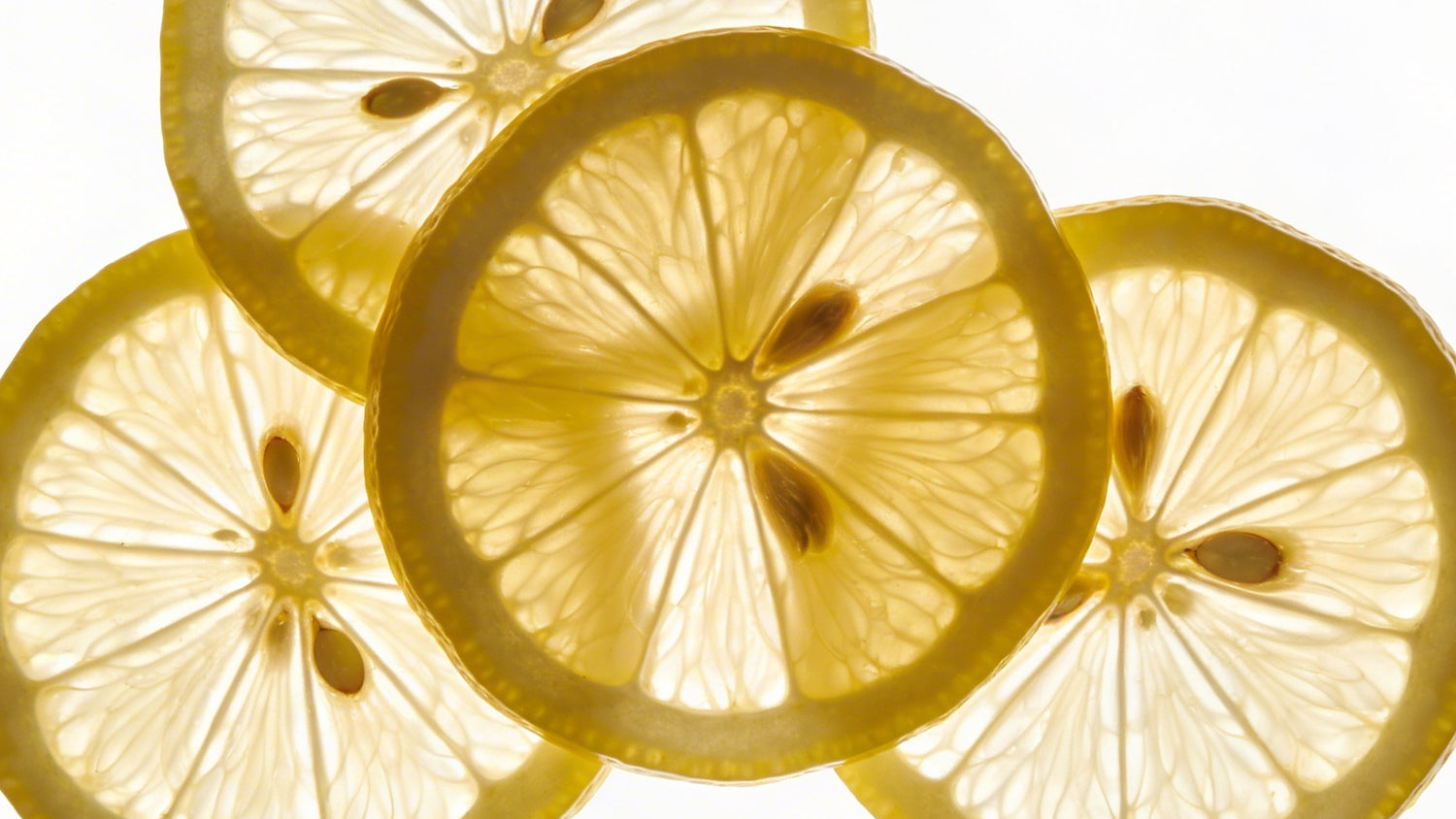 Vegetalement Provence