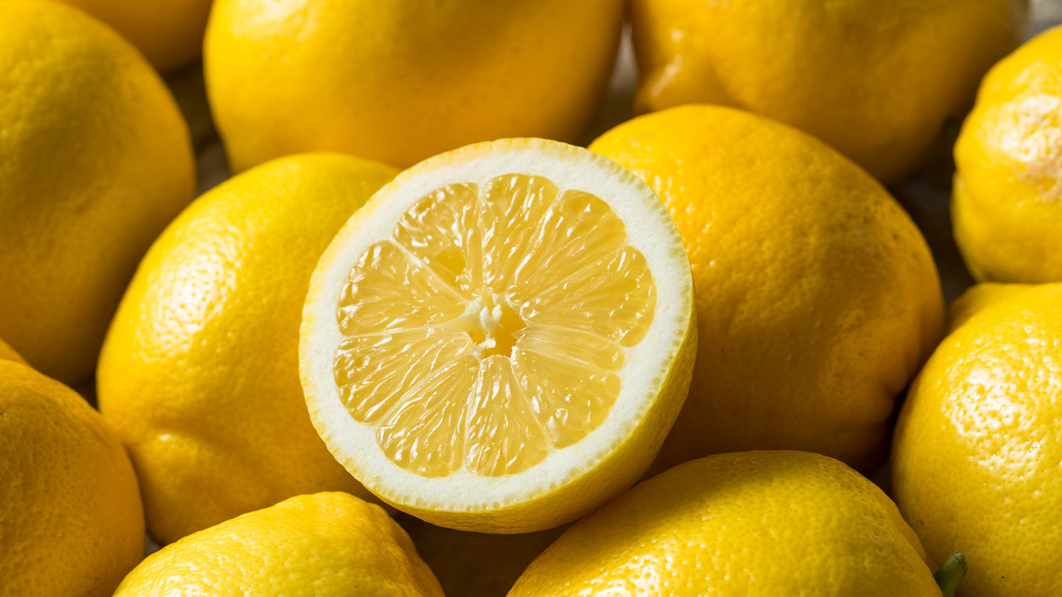 Vegetalement Provence