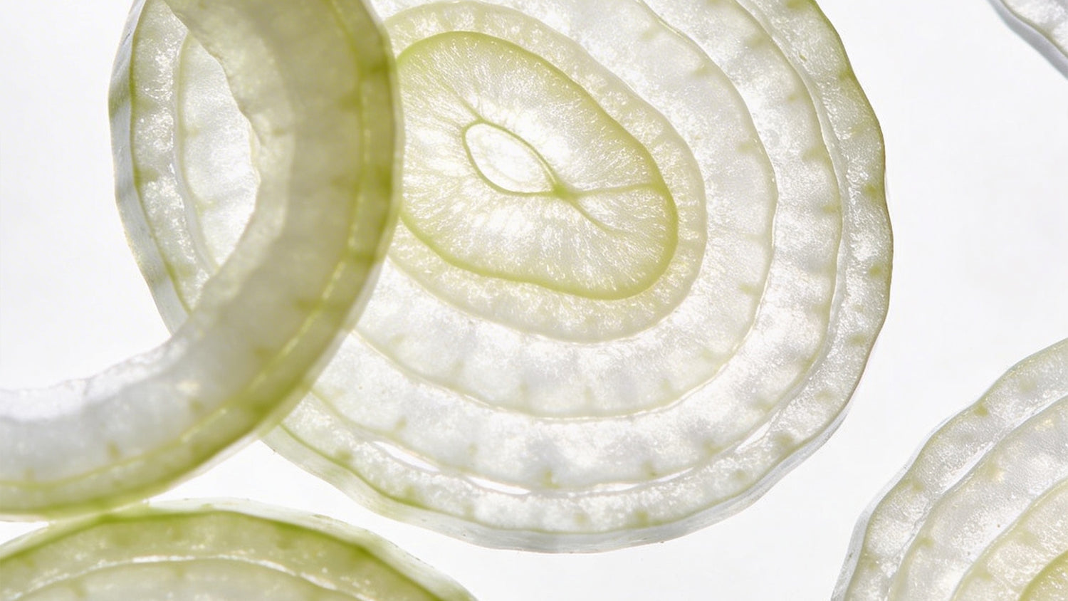 Vegetalement Provence