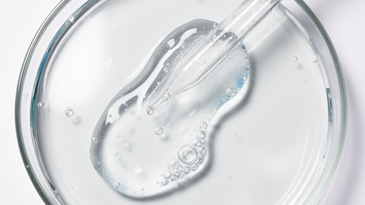 Vegetalement Provence