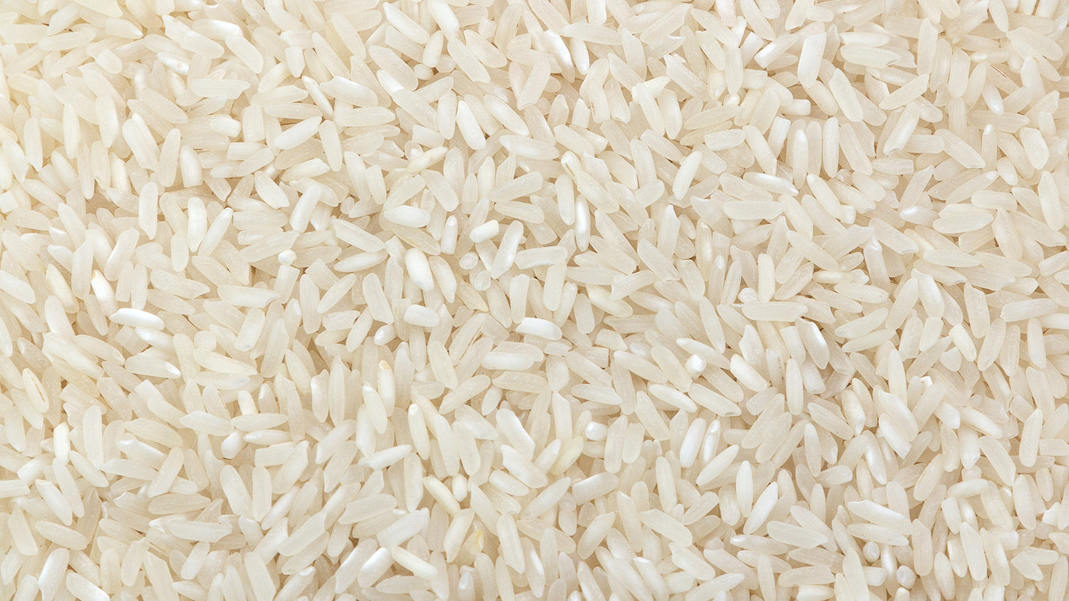 Vegetalement Provence