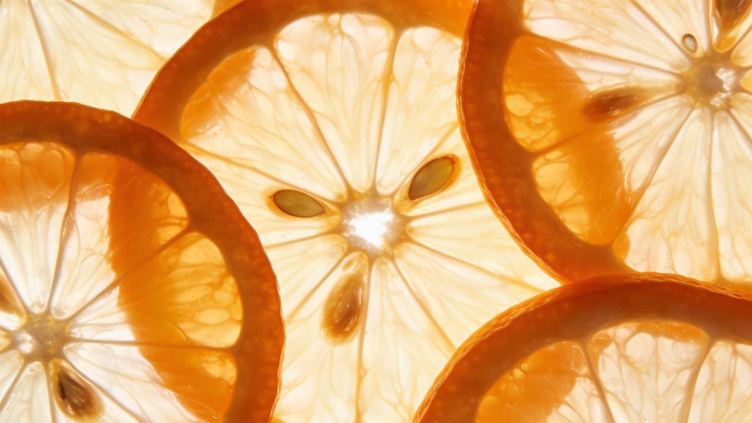 Vegetalement Provence