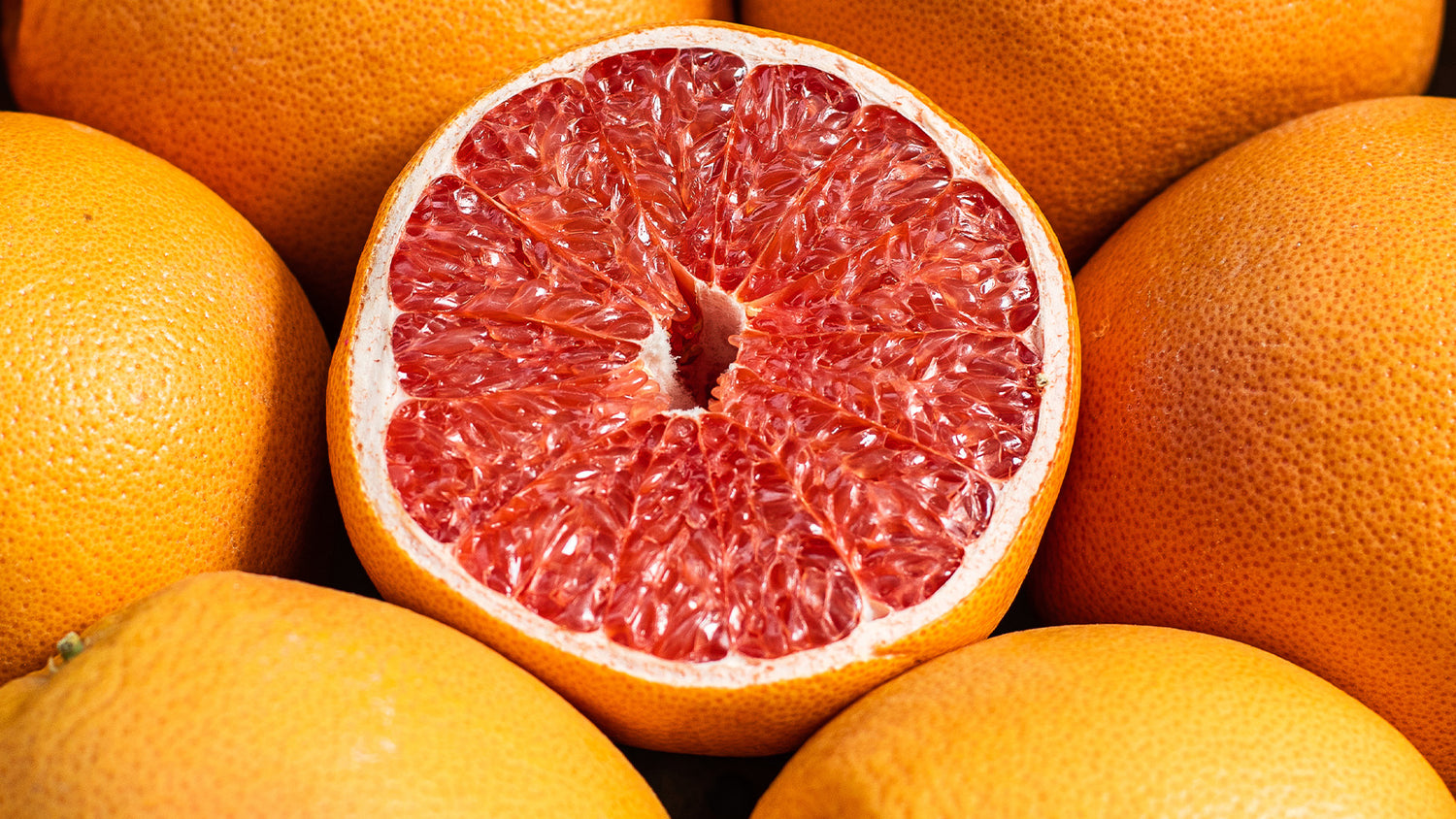 Vegetalement Provence