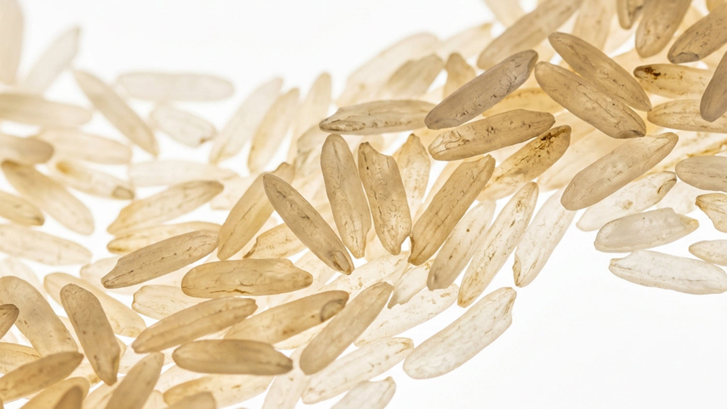 Vegetalement Provence