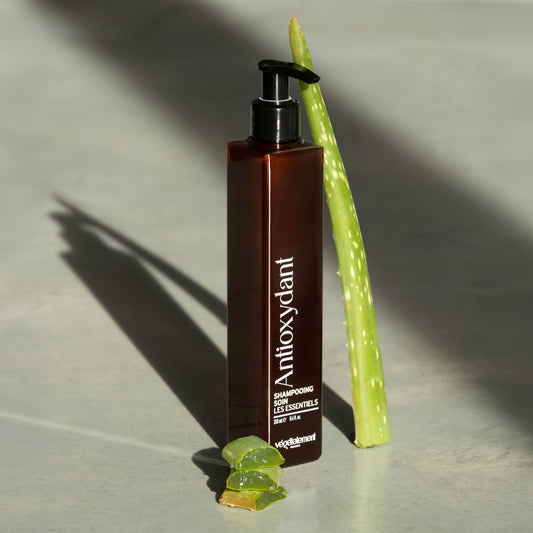 Shampooing Antioxydant