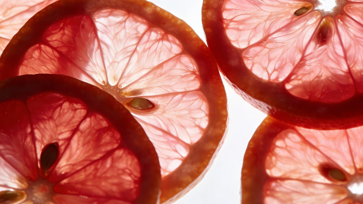 Vegetalement Provence